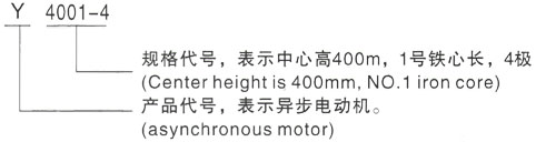 西安泰富西玛Y系列(H355-1000)高压JR1410-8三相异步电机型号说明